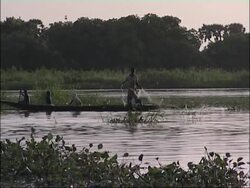 Fisherman in Niger. Stock Footage