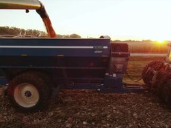 Combine dumps harvested corn crop into a wagon at sunset/sunrise. Stock Footage