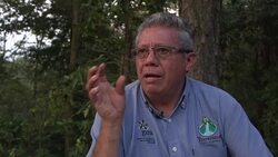 VOICED : Forests locals harmed in Mexico's avocado boom News Clip