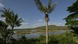 River landscape Stock Footage