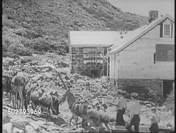 Moving a House Up a Mountain, Blessing in Louisiana and the Museum of Modern Art News Clip