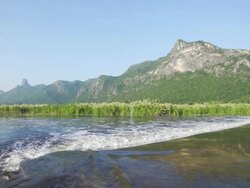 Beautiful landscape in the summer Stock Footage