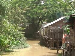 river scene Stock Footage