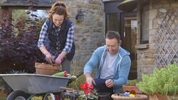 Gardening Couple Stock Footage