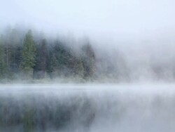 morning fog on lake Stock Footage