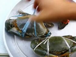 crab in market Stock Footage