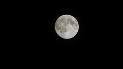 T/L,Moon. Tokyo/Japan Stock Footage