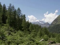 mountain landscape changing seasons from summer to fall Stock Footage