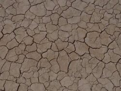  CU Cracks on arid desert ground / Mojave, California, USA Stock Footage
