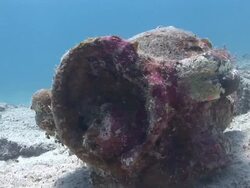 Ancient broken pottery lies on a sandy seabed. Stock Footage