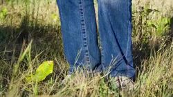Stroll over rough terrain. Grass and legs close up. Stock Footage