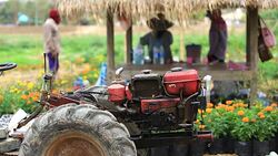 Farmer and beautiful life Stock Footage