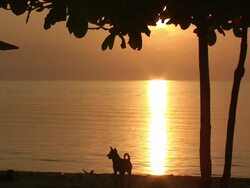 Sunset over the Pacific Ocean Stock Footage