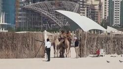 CLEAN: Trio trek Empty Quarter in footsteps of Thesiger News Clip