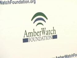 Amberwatch Foundation Unveiling of Its New Initiatives With A Star Studded Launch Party Stock Footage
