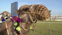 CLEAN : First cruise ship docks in Tunisia since 2015 attack News Clip