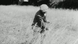 1939 MONTAGE Farmers tending animals and working fields with scythes and horse-drawn plow / United Kingdom Stock Footage