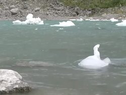 MS Ice floating on glacier Briksdalsbreen / Jostedalsbreen Nationalpark, Sogn og Fjordane, Norway Stock Footage