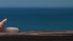 CU, PAN, ocean shells and pebbles on wooden railing, North Truro, Massachusetts, USA Stock Footage