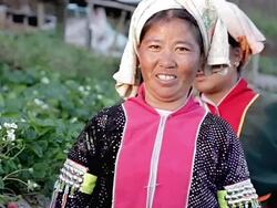 Lahu hill tribe woman. Stock Footage