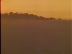 Dusk clouds over rainforest, orange sky, CU, Panama. Stock Footage