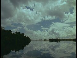WA sky reflected in calm river, silhouetted forest on bank, Amazon, South America Stock Footage