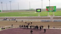 Turkmenistan president falls from horse in race Instructional Video