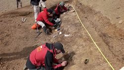 CLEAN : Scientists study extensive dinosaur site in Chilean Patagonia News Clip