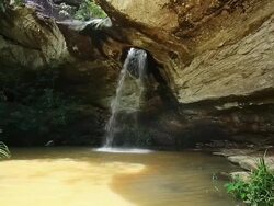 Tropical Waterfall Stock Footage