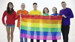 Gay pride group standing in unity holding gay pride flag Stock Footage