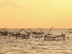 Fisherman nets the fish Stock Footage