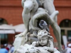 Neptune Statue Masterpiece in Rome Stock Footage
