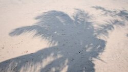 White sand beach with coconut shadow Stock Footage