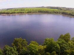 Flythroughs lake and trees aerial view. Stock Footage
