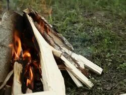 Campfire Stock Footage