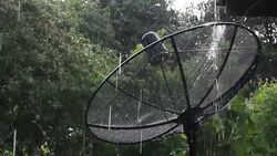 Satellite dish in rain Stock Footage