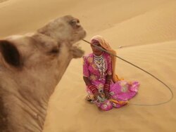 Rajasthani woman sitting on desert, Sam Desert, Jaisalmer, Rajasthan, India Stock Footage