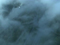 Long Shot  aerial tracking-left zoom-in - Pigeons fly over misty farmland. /  USA Stock Footage