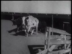 ""Dust Storms"" Are Latest Terror In The Middle West News Clip