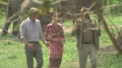 William and Kate feeding elephants News Clip