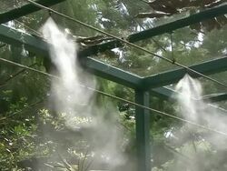 Greenhouse Irrigation Stock Footage