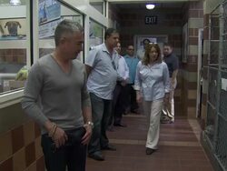 Cesar Millan at the North Shore Animal League Pet Adoptathon Weekend 2010 with Cesar Millan at Port Washington NY. (Footage by WireImage Video/GettyImages) Stock Footage