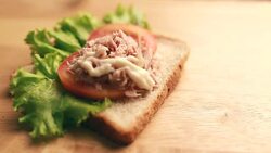 Tuna Sandwich Stock Footage