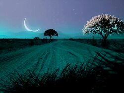 Scenic Serie Stock Footage