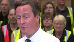 CLEAN : Britains Cameron comments on Qatar World Cup allegations News Clip