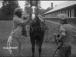 1953: POST-MORNING WORKOUT: Exercise rider holding thoroughbred racehorse reins for African-America male groomer, rubbing horse down, rub down. MS Unidentified thoroughbred horse being groomed outside saddleshed. Instructional Video