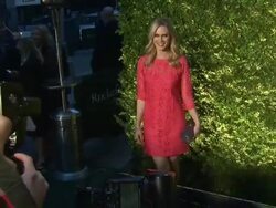 Stephanie March at the Green Auction Stock Footage