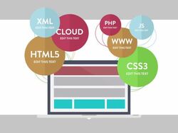 Customizing Promo  - Web design Infographics Stock Footage