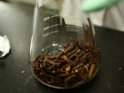 Medicinal herbs in the beaker Stock Footage