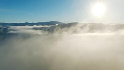 Flying through fog over a forest into the sun Stock Footage